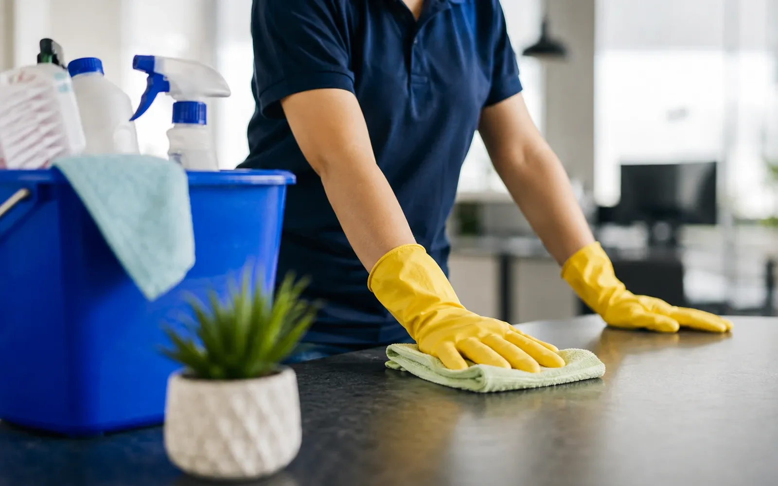 Cleaner demonstration